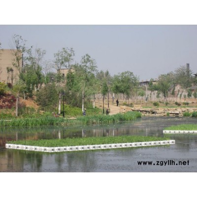 源發(fā)水景 生態(tài)浮島  人工浮島  水生植物 人工浮島批發(fā) 生態(tài)浮島價(jià)格  紅發(fā)水景荷花苗、蘆葦苗睡蓮苗育植中心