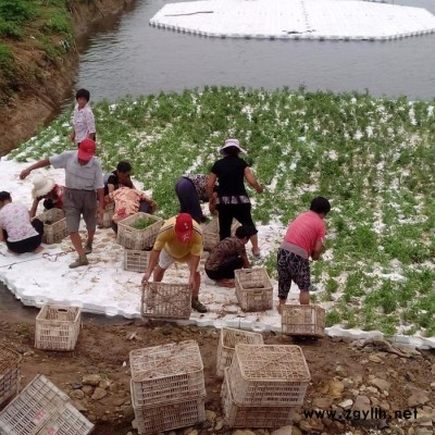 【紅發(fā)水景】承接各種水生植物 環(huán)保科技第三代生態(tài)浮島正規(guī)廠家||人工生態(tài)浮島紅發(fā)水景持有**證書(shū)