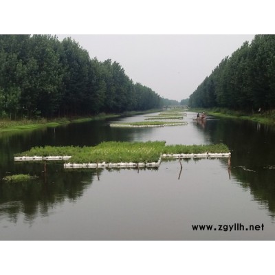 生態(tài)水景綠化 生態(tài)人工浮島 浮床 生態(tài)浮床 水生植物 人工浮島 凈化水質(zhì)紅發(fā)水景