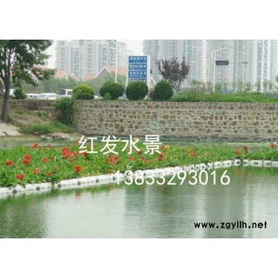 生態(tài)水景綠環(huán)保科技 生態(tài)人工浮島|||水面綠化、景觀效果水生植物人工浮島凈化水質(zhì) 紅發(fā)水景