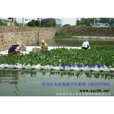 浮島、浮島|生態浮島|人工浮島 紅發水景綠化工程有限公司