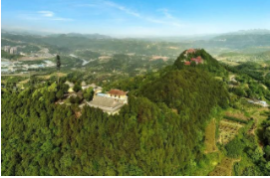 廣州天健天璽項目二期工程（多層住宅）大區(qū)園林景觀工程直接采購公告