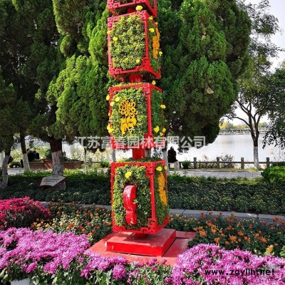 紅背桂 杯苗 市政園林綠化苗 質(zhì)量優(yōu) 根系好 易成活