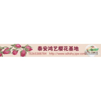 山東碧桃*新報價，山東碧桃批發銷售