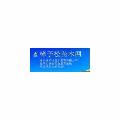 樟子松水臘等綠化造林苗木