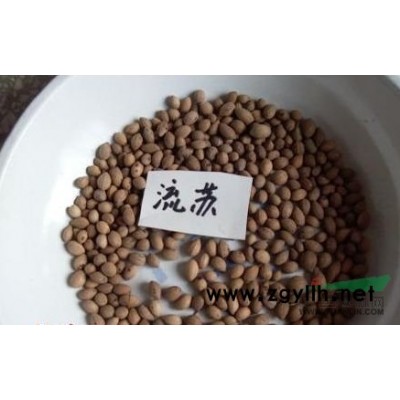 河南南陽供應國槐角
