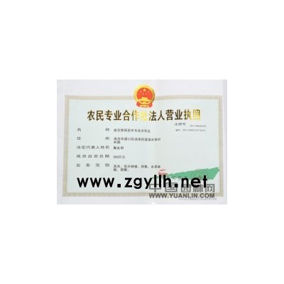 國(guó)槐，全冠國(guó)槐，南京國(guó)槐價(jià)格，移栽國(guó)槐樹(shù)形好