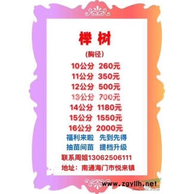 江蘇[產品]/江蘇10-20公分香樟 江蘇香樟處理價格價格/報價
