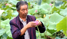 荷花大王陶德均：三十年執著追求 只為荷花花開盛世春色滿園