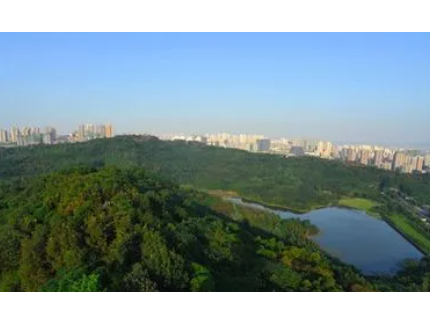 重慶市林業局會同重慶市生態環境局召開自然保護地問題整改現場核查情況匯報會