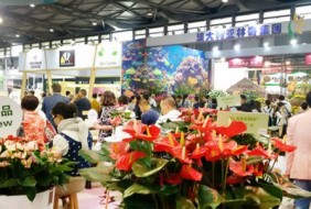 廣州國際花卉園藝及盆景展覽會